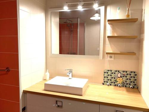 une salle de bain avec un lavabo et un miroir dans l'établissement Appartement avec WIFI VUE SUR MER plage du Coz-Pors à TREGASTEL - Réf 609, à Trégastel