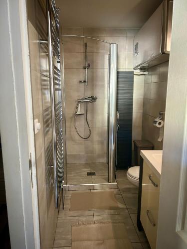 une salle de bain avec douche et toilettes dans l'établissement Appartement Résidence Beau Rivage, Ax-les-Thermes, à Ax-les-Thermes