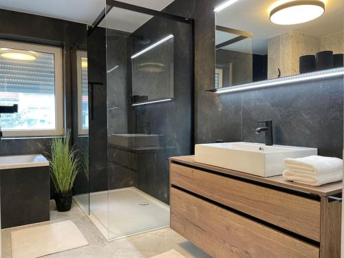 a bathroom with a sink and a shower at Grafschafft angenehmes wohnen - Ferienwohnung mit 2 Schlafzimmern in Pirna