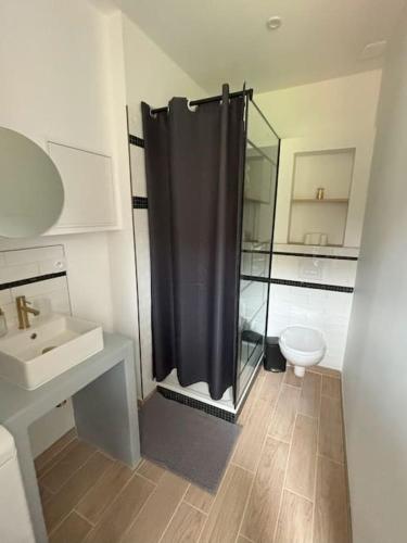 une salle de bain avec une douche, un lavabo et des toilettes dans l'établissement Studio Titanic Cherbourg Netflix Parking, à Cherbourg en Cotentin