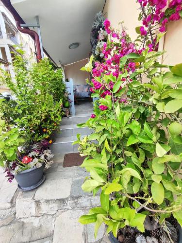 a garden of flowers and plants on a stairway at Margarita's House 2 in Kavála