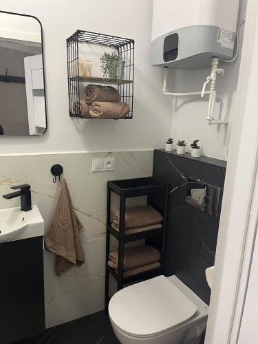 a bathroom with a toilet and a sink and a mirror at Apartament Frezja in Gryfów Śląski