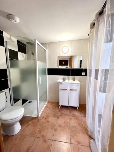 une salle de bain avec toilettes, douche et lavabo dans l'établissement Les chambres de la bastide - 203, à Carcassonne