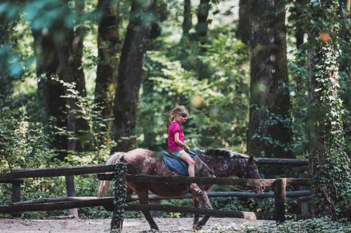 Tetamu yang menginap di Gîte du Lac - Paddock Chevaux - Étang Coco Plage
