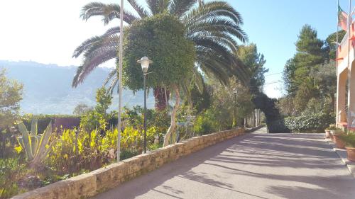 a street with a palm tree and a street light at B&B da Pietro in Calascibetta