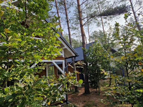 Un jardín fuera de Leśny Domek Rotembark z prywatnym jacuzzi