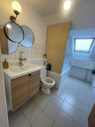 a bathroom with a toilet and a sink and mirror at Attic European Quarter in Brussels