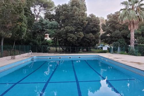 une piscine bleue avec un palmier dans l'établissement Duplex cosy climatisé avec piscine St Raphael Boulouris, à Boulouris-sur-Mer