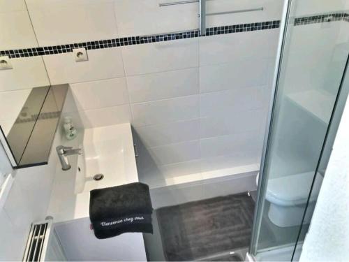 une salle de bain avec un lavabo et une douche en verre dans l'établissement Duplex cosy climatisé avec piscine St Raphael Boulouris, à Boulouris-sur-Mer