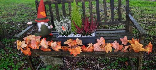 a wooden bench with a santa hat and some plants at La Villa Beausejour in Baives