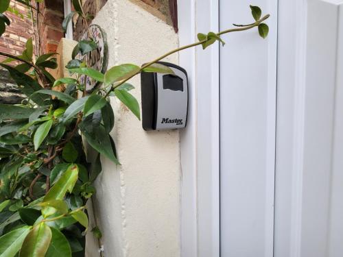 Ingleside Mews photo 22