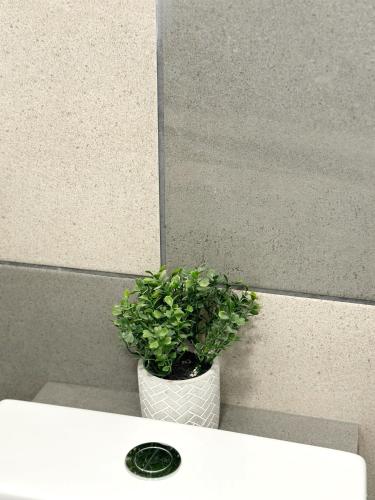 a potted plant sitting on top of a sink at The Rosemary Stay in Hull