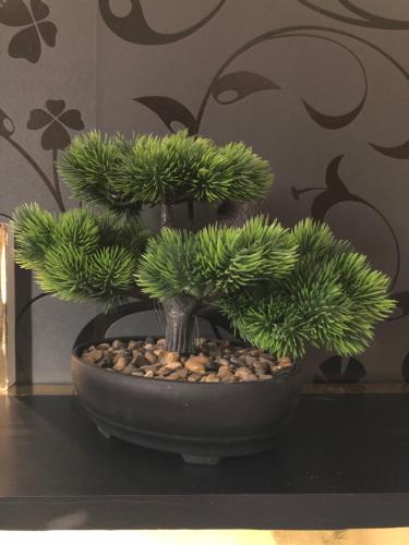 a bonsai tree in a pot on a table at Gavriel Boutique Residence Wellness Spa in Szada