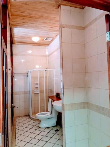 a bathroom with a toilet and a sink and a shower at Ireenkevin guesthouse in Luang Prabang