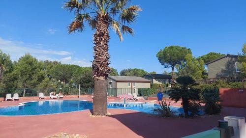 un palmier installé à côté d'une piscine dans l'établissement Chalet familial entre les pins, à Agde