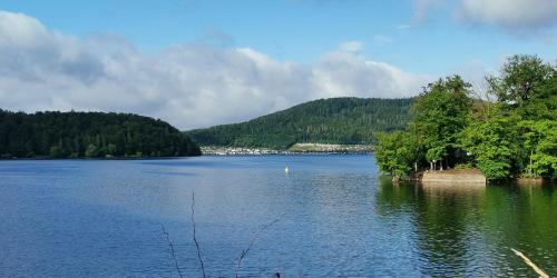 a large lake with trees in the middle of it at Ferienwohnung Schloss-See-Bergblick in Waldeck