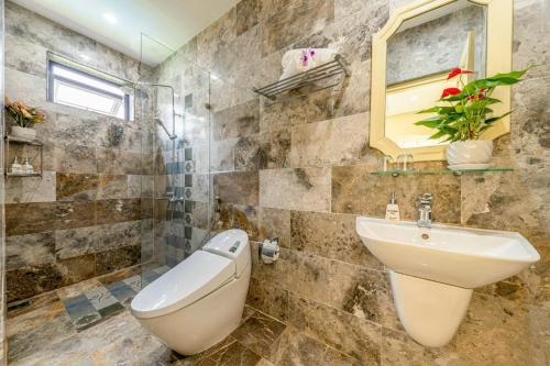 会安The Sunshine Hoi An Villa的带水槽和马桶的浴室