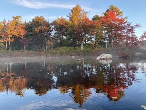 a lake with a rock in the middle of it at Water's Edge in Bucksport