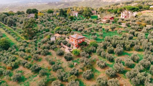 an aerial view of a house on a hill with trees at Massaria Donna Oliva in Buccino