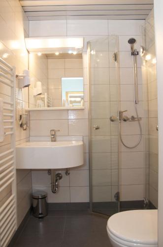 a bathroom with a sink and a shower and a toilet at Pension Seirer in Sankt Radegund bei Graz