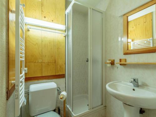une salle de bain avec toilettes, lavabo et douche dans l'établissement Studio cabine 3 pers avec terrasse, près des pistes, animaux acceptés - FR-1-353-6, à La Plagne