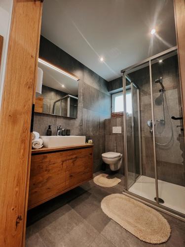 a bathroom with a shower and a sink and a toilet at Apart Praxmarer in Kaunertal