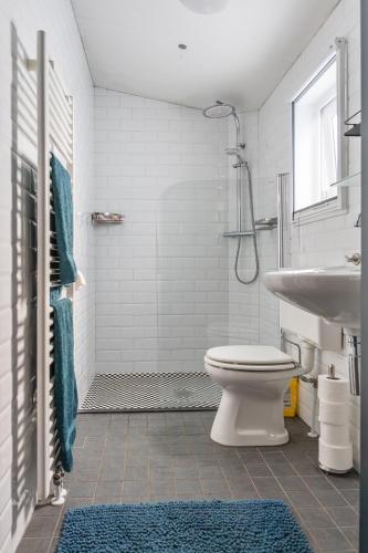 a bathroom with a shower and a toilet and a sink at Goudvink 547 De IJsvogel Veluwe Voorthuizen in Voorthuizen