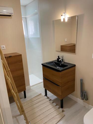 a bathroom with a sink and a shower at Joli studio au calme in Bruay-la-Buissiere