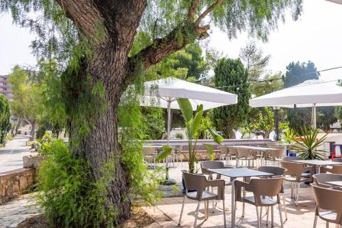 a patio with tables and chairs under a tree at HolaCamp Sant Salvador in Comarruga