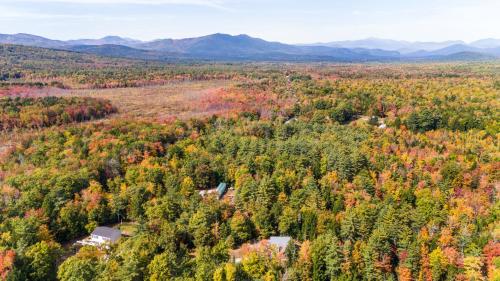 an aerial view of a forest with fall foliage at Mitten Pines Cabin Hot Tub Fire Pit in Conway