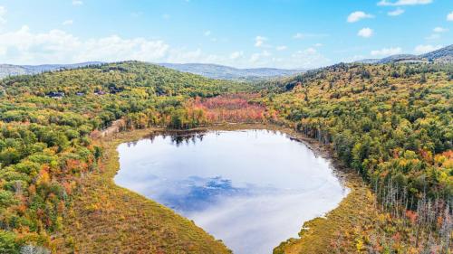 an aerial view of a lake in the middle of a forest at Mitten Pines Cabin Hot Tub Fire Pit in Conway