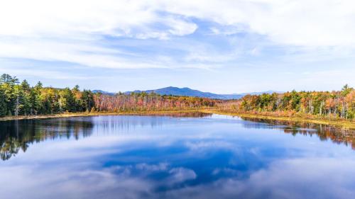 a large lake in the middle of a forest at Mitten Pines Cabin Hot Tub Fire Pit in Conway