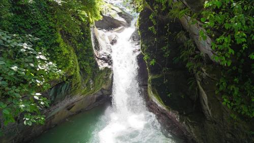 Gallery image of Casa Quetzal: Jungle Retreat in Barú