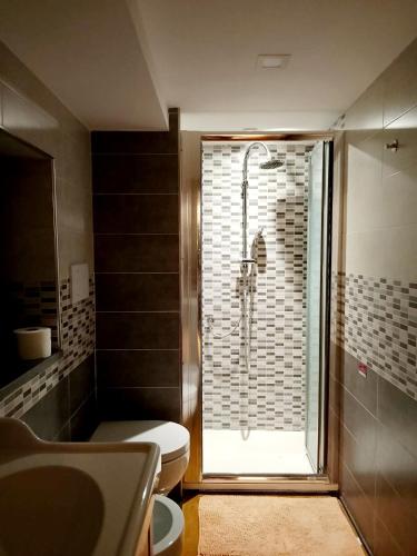 a bathroom with a shower and a toilet at Al Cortile in Santa Maria di Licodia