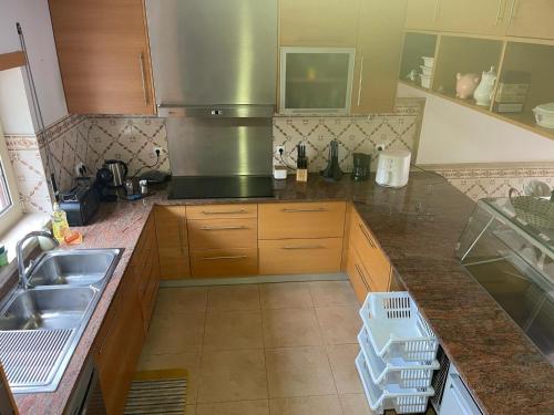a kitchen with a sink and a counter top at Vivenda Do Relaxo '' Relax Villa " in Freiria