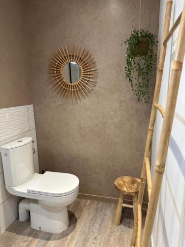 a bathroom with a toilet and a mirror on the wall at Chambre Tuffeau "Belle An Pierre chambres d hôtes & spa" in Saint-Cyr