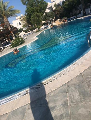 a shadow of a person in a swimming pool at Paphos gardens studio suite in Paphos City