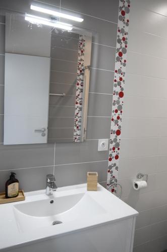 a bathroom with a white sink and a mirror at Gîtes Jara et Mendia, Maison Eguzki-Lore, Saint-Jean-Pied-de-Port, Pays Basque in Saint-Jean-Pied-de-Port
