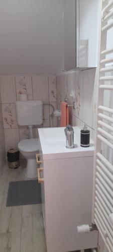 a white bathroom with a toilet and a sink at Casa linistita Ilie in Păltineni