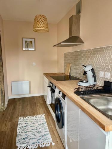 une cuisine avec un évier et une machine à laver dans l'établissement Green Book - T2 avec parking, à Vierzon