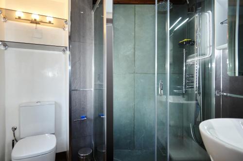a bathroom with a shower and a toilet and a sink at Casa del Álamo in Cambil