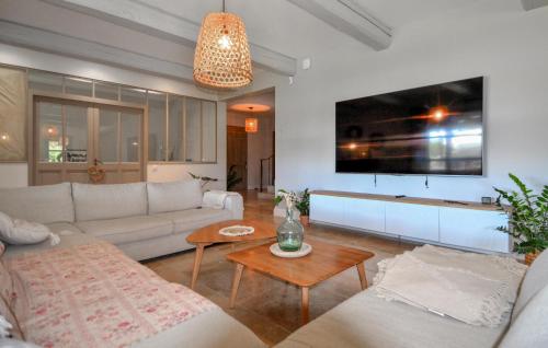 un salon avec un canapé et une télévision dans l'établissement 4 Bedroom Awesome Home In Noves, à Noves