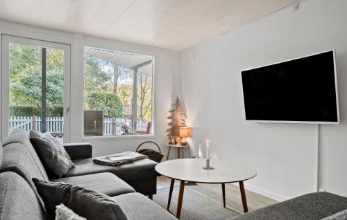 Μια τηλεόραση ή/και κέντρο ψυχαγωγίας στο 3 Bedroom Pet Friendly Home In Toftlund