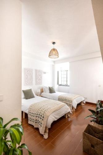 Casa Maria Amalia