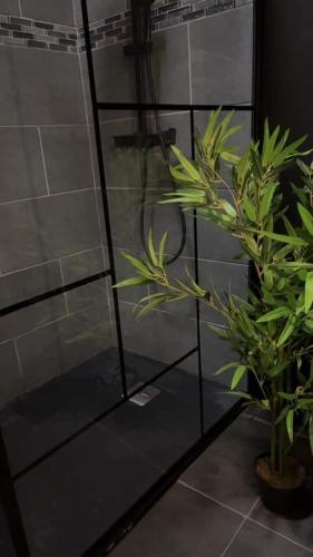 La salle de bains est pourvue d'une douche en verre avec une plante. dans l'établissement Eau bon'heure, à La Bassée