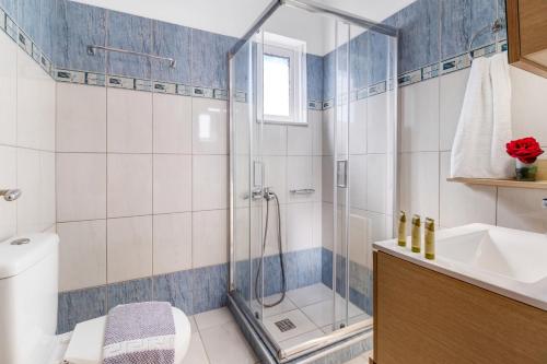 a bathroom with a shower and a toilet and a sink at Gkountis deluxe apartment in Tsoukaladhes