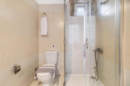 a bathroom with a toilet and a shower at Gkountis stone apartment 3 in Tsoukaladhes