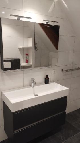 a bathroom with a sink and a mirror at Laaker Villa nearby outlet Roermond in Ohé en Laak