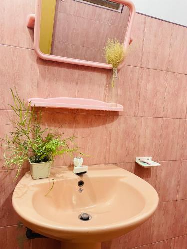 La salle de bains est pourvue d'un lavabo, d'un miroir et d'une plante en pot. dans l'établissement Nuvi Residence, à Anurâdhapura