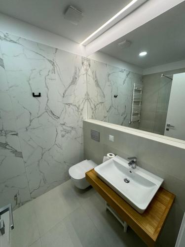 a bathroom with a sink and a toilet and a mirror at Warm Hotel Apartment in Bucharest